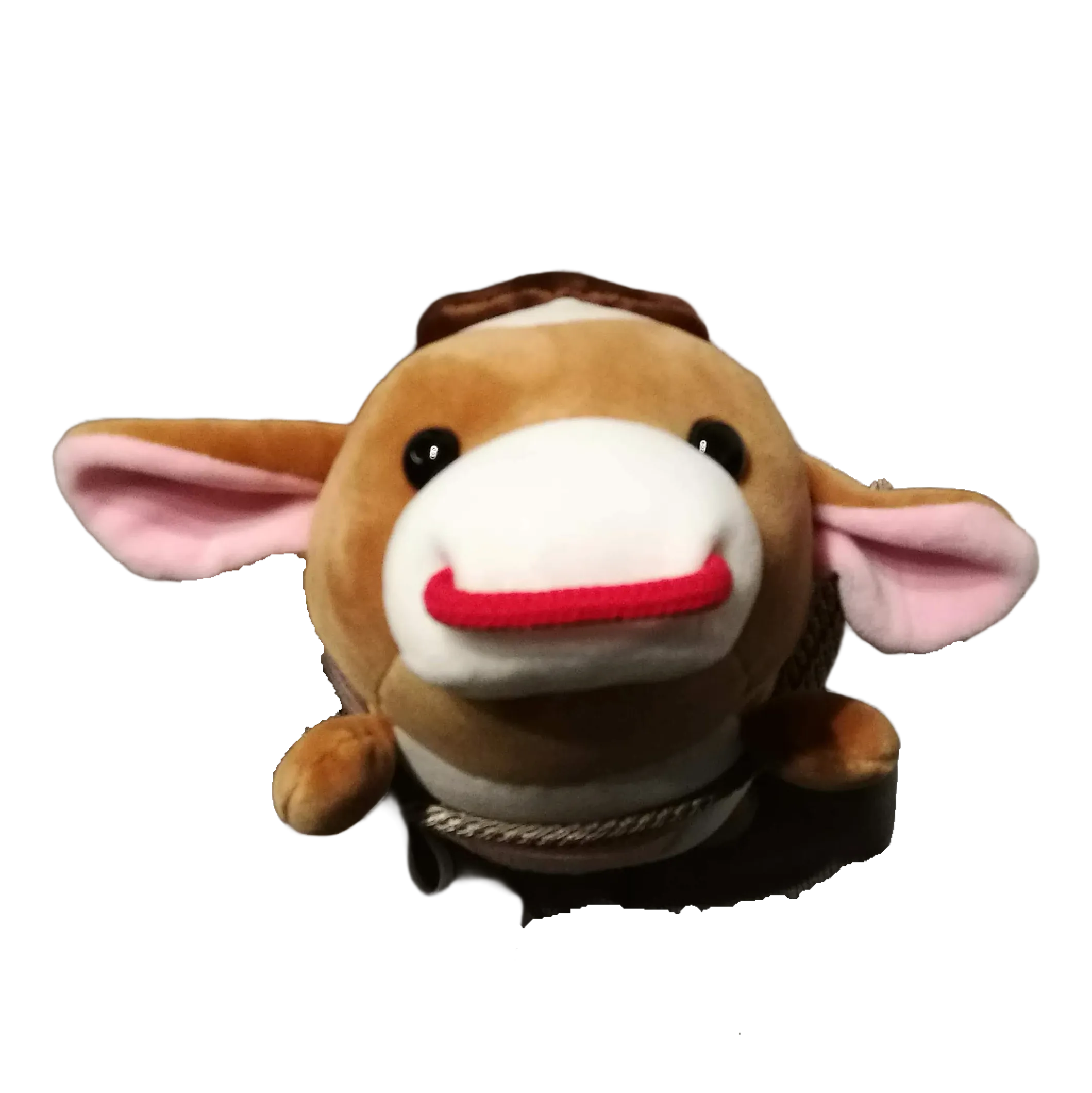 ジャージー牛先生